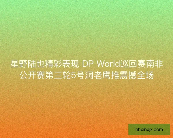 星野陆也精彩表现 DP World巡回赛南非公开赛第三轮5号洞老鹰推震撼全场